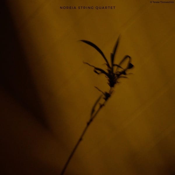 Plan & Elevation: The String Theory